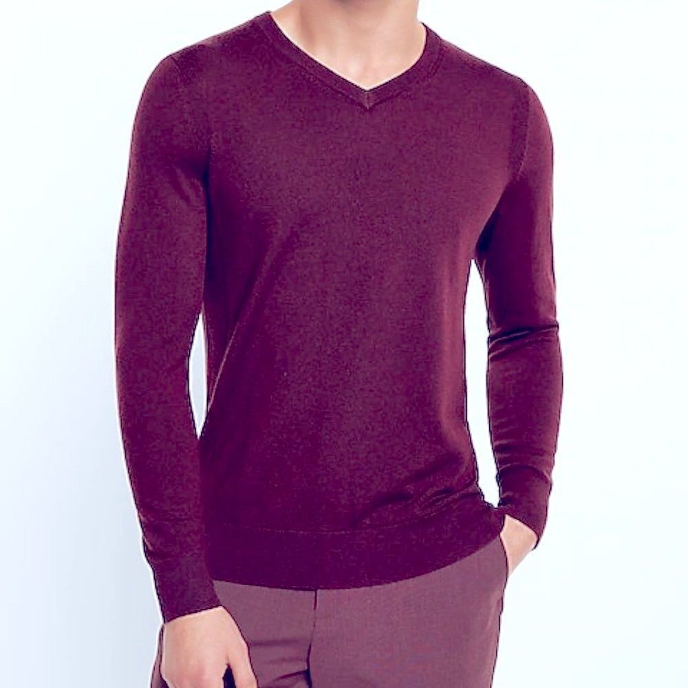 Express Design Studio Italian Merino Wool V Neck Sweater Purple Men's XL